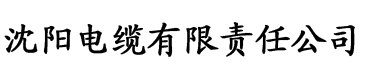 米奇网站电缆厂logo